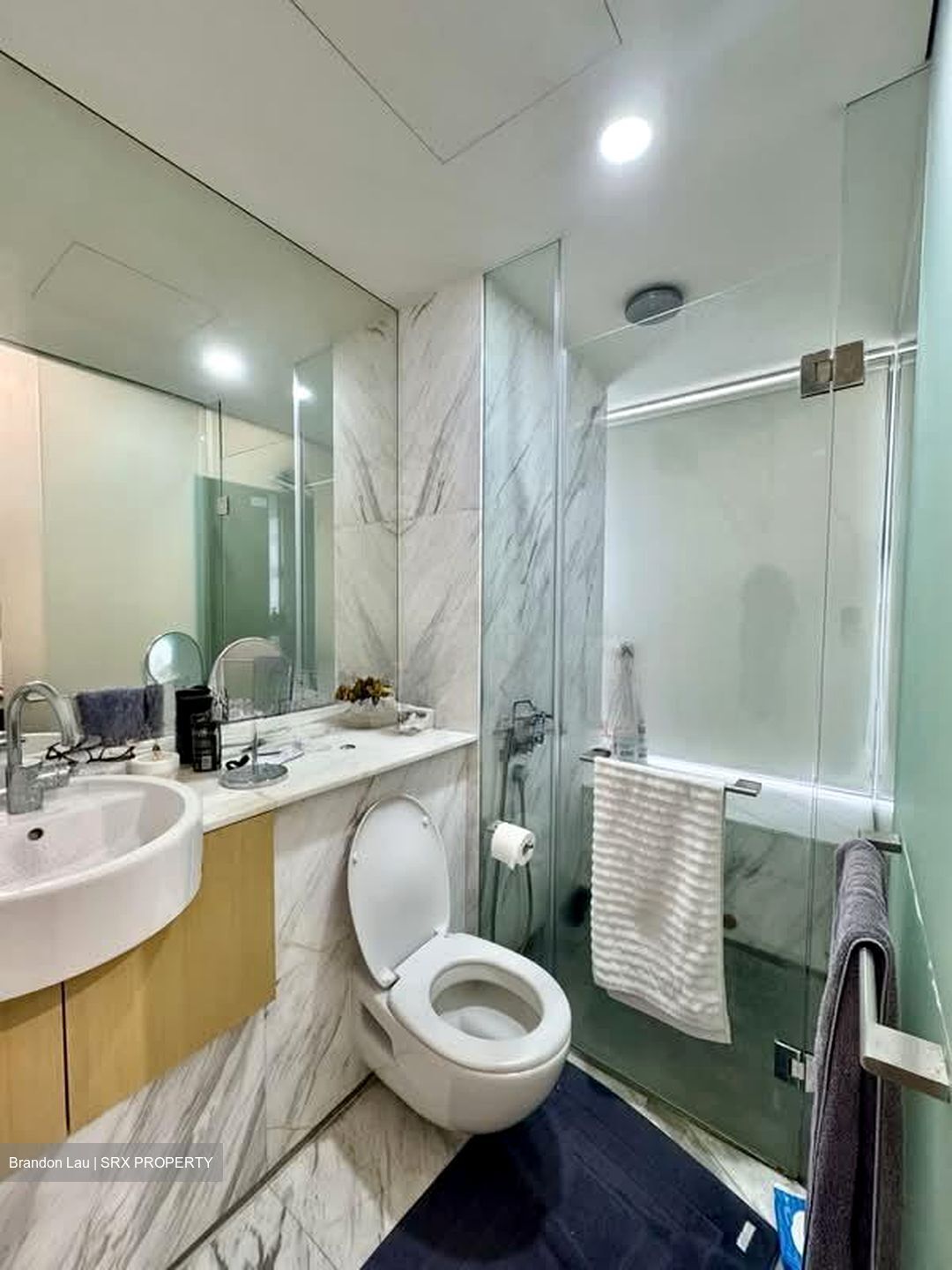 Newton Suites (D11), Apartment #566632781